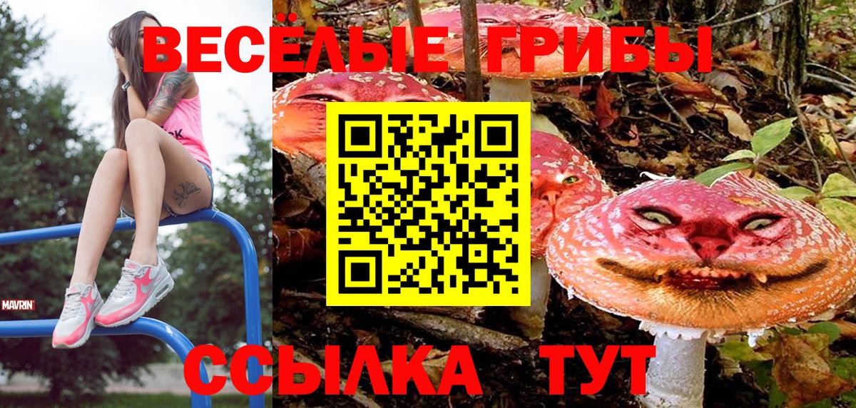 Псилоцибиновые грибы MAGIC MUSHROOMS Россия