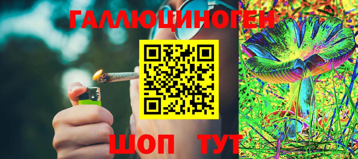 Россия  Галлюциногенные грибы мицелий  Вход с VPN 